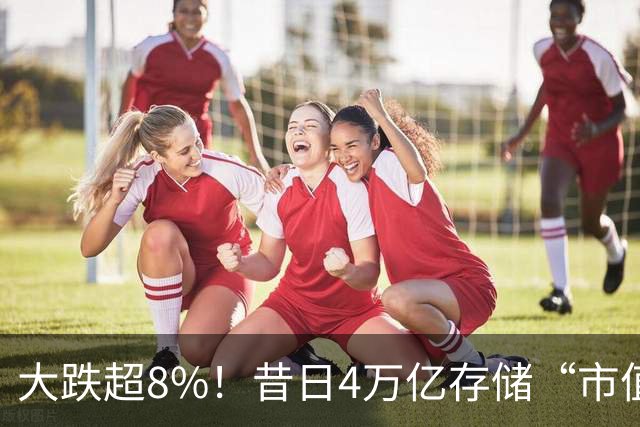 大跌超8%！昔日4万亿存储“市值一哥”，两个月市值蒸发1.3万亿，还会跌吗？